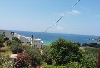 Grandpa Simos' Traditional Guest House (Α) - Agios Romanos - 8