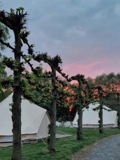 Glamping Josephine - Geel - 9
