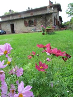 Rosso Papavero Home - Borgo San Lorenzo - 0