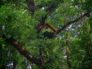 Etno House Šćepanov Hlad - 4