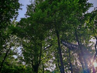 Etno House Šćepanov Hlad - 7