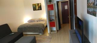 Wellness Alpen Apartement Hochkönig - - 8