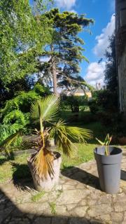 Le 39 - Isigny-sur-Mer - 5