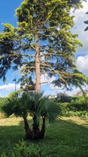 Le 39 - Isigny-sur-Mer - 7