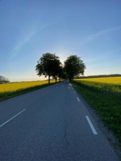 Stuga Marsi - Ystad - 1