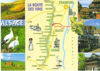 La Terrasse des Vignes - Gîte 3 Étoiles Centre Alsace - Logement entier - 9