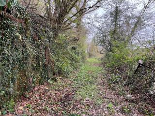 Characterful Rattery Mill Linhay - Moffat - 4