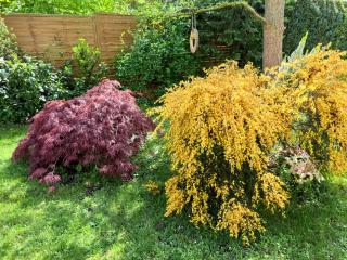 "Zur Alten Schusterei" 98597 Breitungen an der Werra - 8