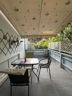 Hotel Selini - Agios Nikitas - 1