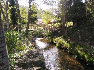 Muiño das Cañotas - 5