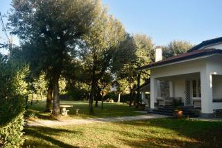 Villino Ambra - Marina di Pietrasanta - 7