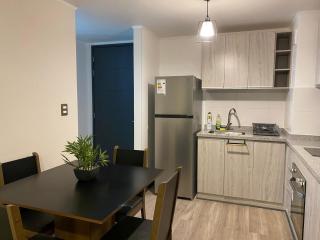 Hermoso departamento nuevo - Temuco - 8