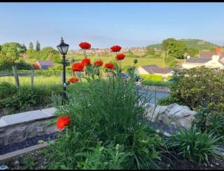 Spacious and Idyllic Cottage Retreat - Conwy - Conwy - 3