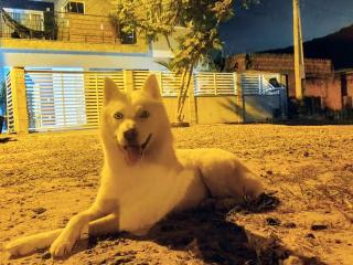 Gih Guest House Parque Beto Carrero - Penha - 8