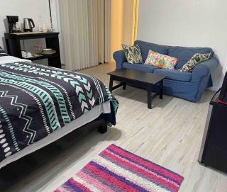 Private Entrance Room w bath & kitchenette - Not an Apartment - Gainesville - 4