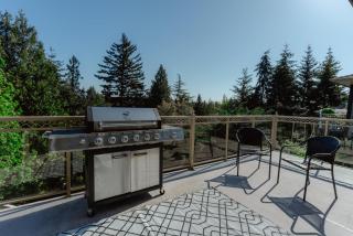 Luxury Rainbow House with Pool Table, Oceanview - Nanaimo - 3