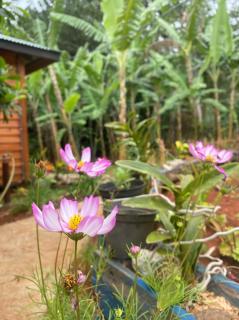 Fare Tamaruorai - - 2