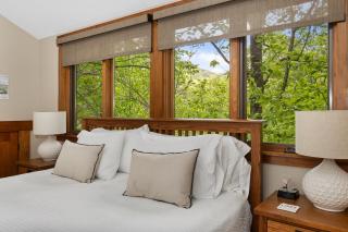 HOT TUB & PET-FRIENDLY Cabin in Cheshire Village - Black Mountain - 6