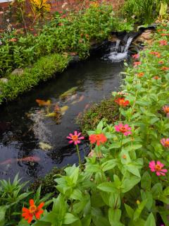 Dok Champa Resort - Vang Vieng - 7