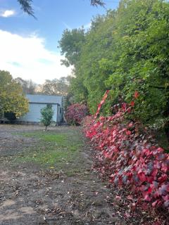 Mulberry Cottage at Blakiston - 0