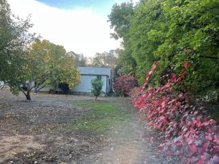 Mulberry Cottage at Blakiston - 3