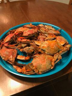 Waterfront Private Pier Pleasure Island Lake House - 4