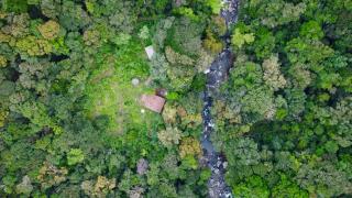 Genderless Jungle - Matale - 9