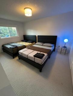 PriceDrop Stays-Best Value in Core Mississauga - 9