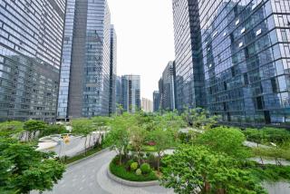 Dabaizhijia Executive Apartment Bantian Huawei Branch - Shenzhen - 9
