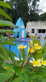 Casa LiLa Tiny Cabin Studio Stay & Pool Kota Bharu,free wifi,free parking - 9