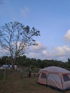 UmAb Rakit Stay Raft House - Gua Sai - 6