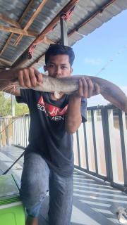 UmAb Rakit Stay Raft House - Gua Sai - 2