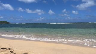 Villa L'Écrin du Colibri Martinique - Le Robert - 6