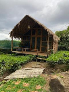 A Tea Hillside Bungalow - - 5