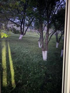 Demalike Guest House - 8