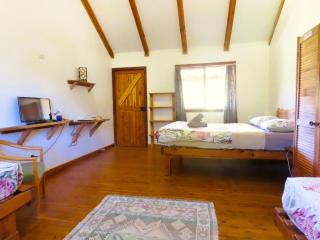 Pilliga Pottery Creative Farmstay - Coonabarabran - 9