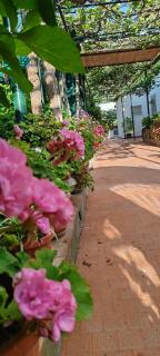 Villa dei fiori B&B - Capri - 7