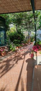 Villa dei fiori B&B - Capri - 9