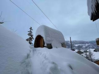 Mountain Bliss, view and Sauna - Swiss Alps - 9