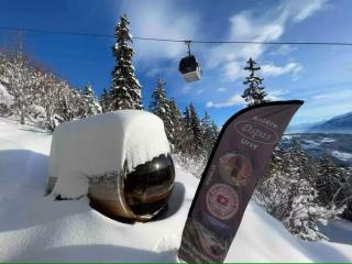 Mountain Bliss, view and Sauna - Swiss Alps - 9
