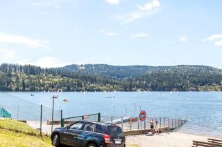 Haus Waldvogel - Schluchsee - 5