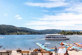 Haus Waldvogel - Schluchsee - 4