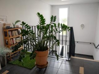 Appartement de L'Espiguette - Le Grau-du-Roi - 4