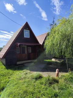 Casa La Andrei - Topliţa - 9