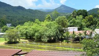 Coconut Lane Lake View Sanctuary - Ko Phangan - 3