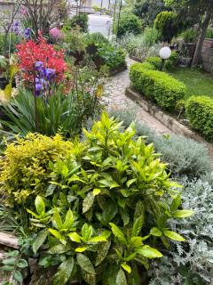 Vila Evksinograd - 2