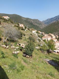 Résidence E CIME ASCO Locations de studios meublés - Asco - 8