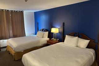 Econo Lodge City Centre - Kingston - 6