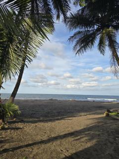 Casa Rosa - Beach Front - Tortuguero - 7