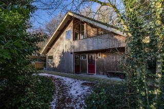 Enjoy a wonderful holiday in the woods - Een - 3